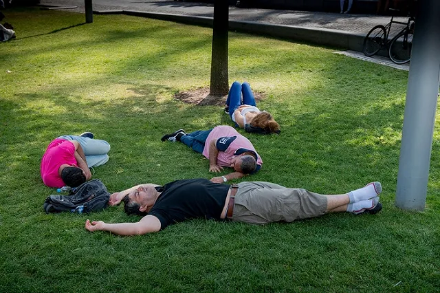 Ветеринары рассказали, как позаботиться о домашних животных в жару