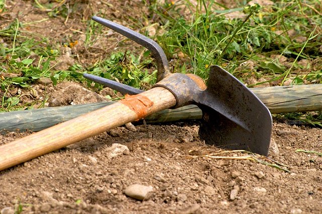 В Таджикистане бабушка похоронила трехлетнего внука заживо