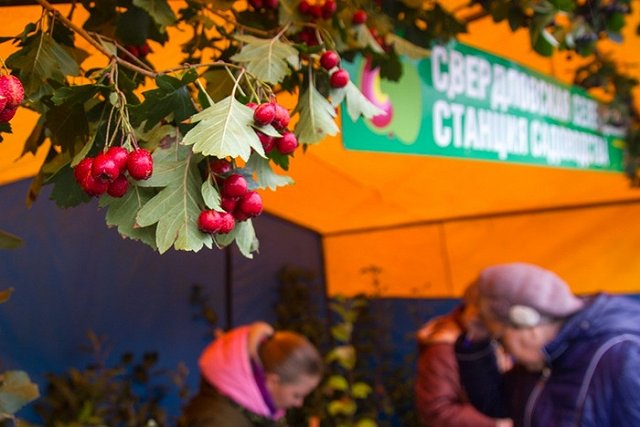 Парковку на площади 1905 года закроют на все выходные