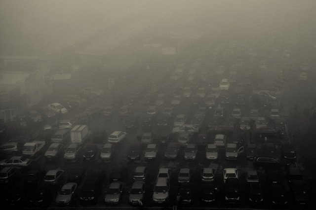 Автосалоны Екатеринбурга объявили бойкот Авто.ру