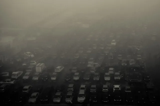 Автосалоны Екатеринбурга объявили бойкот Авто.ру