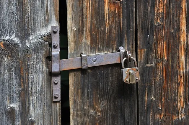 СК возбудил дело на органы опеки города, где дети сбежали из домашнего заточения