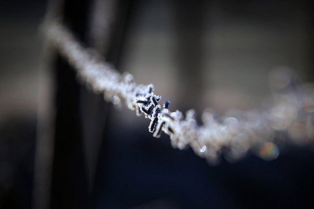 Обвинение запросило срок для автоледи, дважды переехавшей девушку в Белоярском