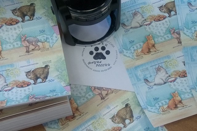 «У меня лапки». Почтовые марки «Кошки» поступили на Главпочтамт