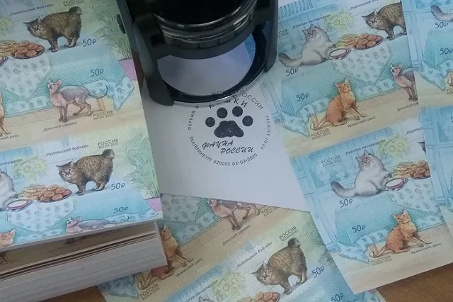 «У меня лапки». Почтовые марки «Кошки» поступили на Главпочтамт