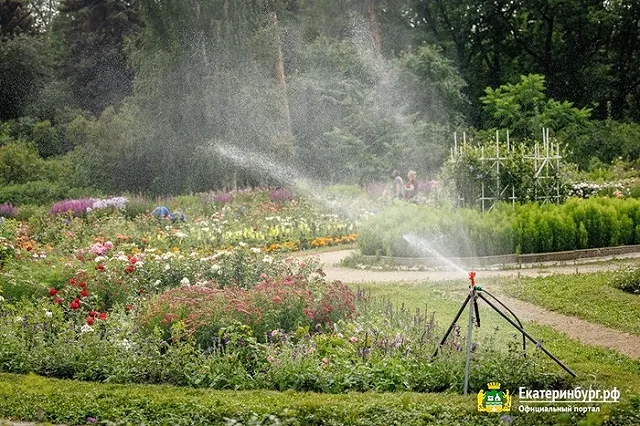 В мэрии Екатеринбурга заявили о скором ремонте дендрологического парка возле УрФУ