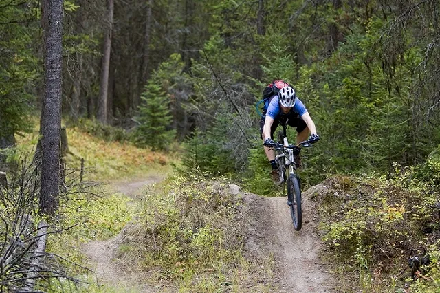 Сжигавший свои экскременты велосипедист устроил пожар в Айдахо
