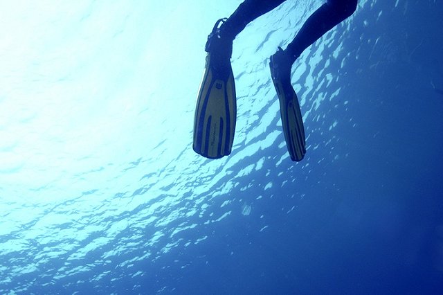 В Геленджике проводится проверка по факту смерти дайвера