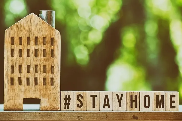 Власти Москвы вновь ввели домашний и удаленный режимы