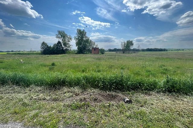 В Подмосковье сотрудник ГИБДД пытался добить ножом сбитого им велосипедиста