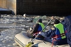 В Екатеринбурге на городском пруду спасли селезня