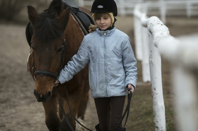 В центре Челябинска лошади бросились на проезжую часть и устроили тройное ДТП