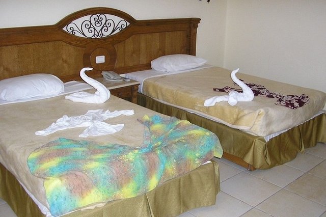 Белорусская турфирма предложила россиянам отправиться в Египет и Турцию