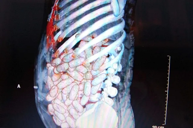 Контрабандистам доминиканского кокаина огласили приговор в Челябинске
