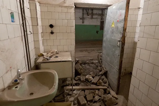 Субботник в паллиативном центре собрал более 100 екатеринбуржцев