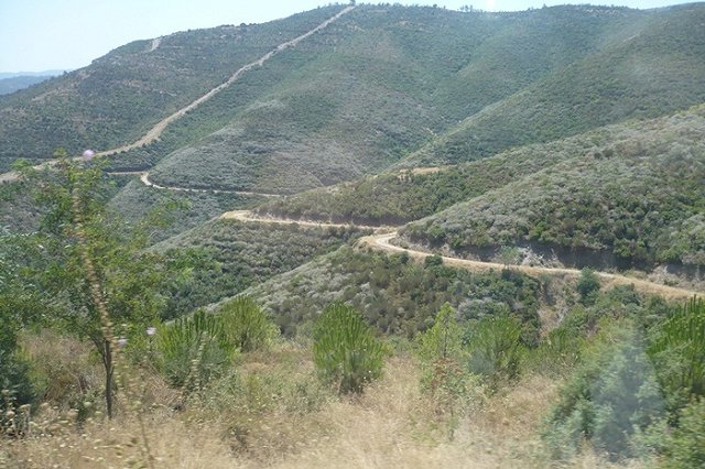 Екатеринбуржцы свалились с отравлением в Абхазии