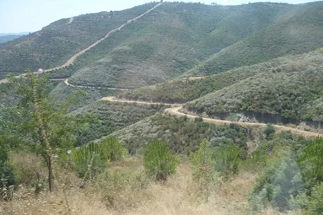 Екатеринбуржцы свалились с отравлением в Абхазии