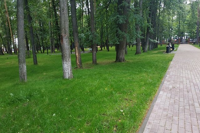 России обещают рекордное тепло в начале апреля