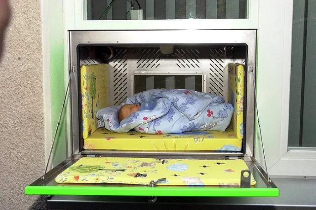 Правительство поддержало законопроект Мизулиной о запрете бэби-боксов