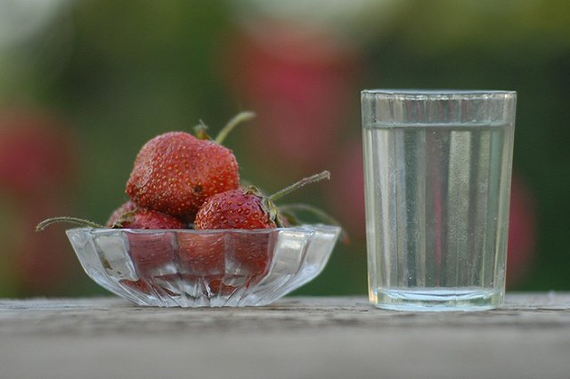 Сенаторы Нью-Гемпшира отказались запрещать российскую водку