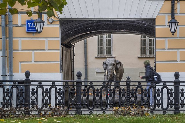 При пожаре на Никитском бульваре в Москве погибли шесть человек
