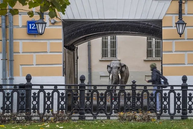 При пожаре на Никитском бульваре в Москве погибли шесть человек