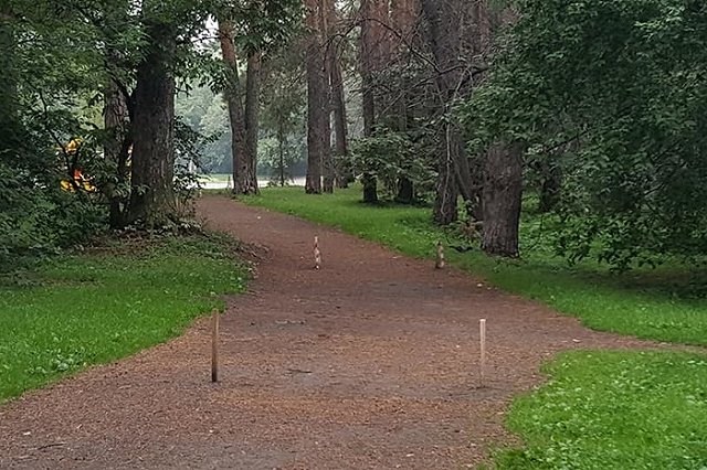 В Администрации Екатеринбурга прошли общественные слушания по Зеленой роще