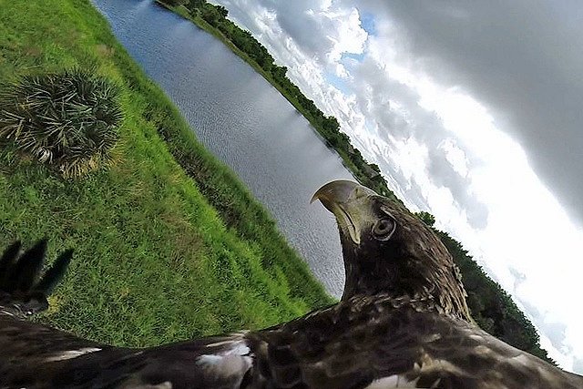 Травмы Михаэля Шумахера связывают с видеокамерой на шлеме