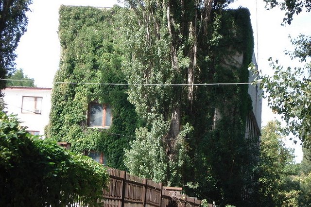 «Крым ваш? А порядки наши!». Россиян заставляют платить за песок на полотенцах