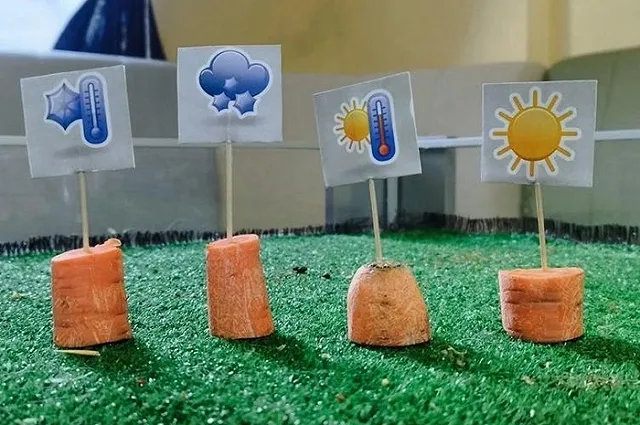 Кролик Вождь предсказал погоду на весну в Екатеринбурге