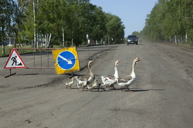 Облкоммунэнерго починит трубопровод в Патрушах новаторским методом
