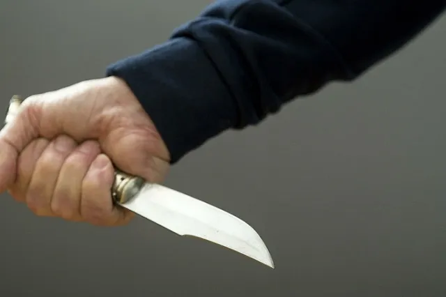 Китаец с ножом порезал группу младших школьников