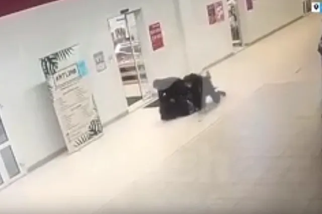 Ковид-диссидент подрался с полицейскими из-за отказа надевать маску — видео