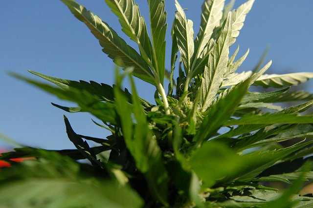 Убийцу русского студента в США приговорили к пожизненному заключению