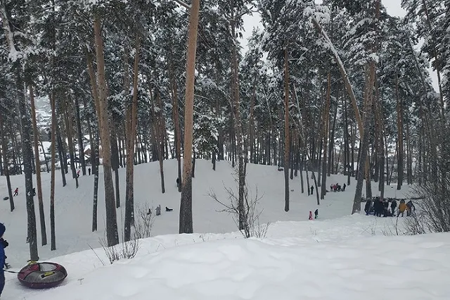 Спасатели напоминают о мерах безопасности при катании на тюбинге