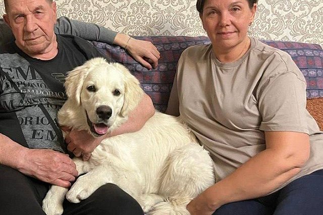 В Екатеринбурге нашелся щенок, из-за пропажи которого его хозяину пришлось вызывать скорую