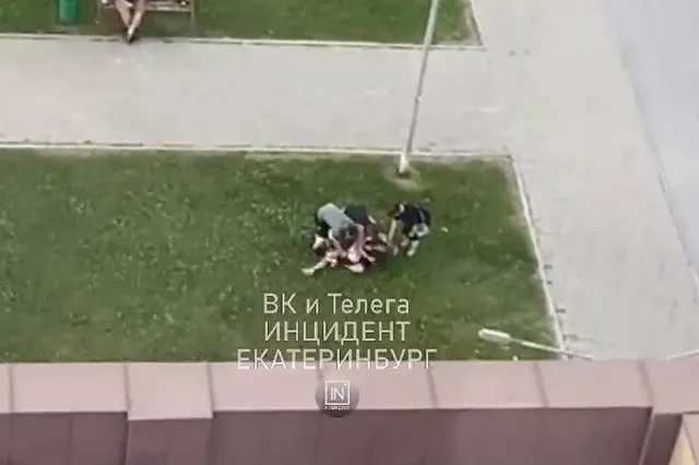 «Один из них потерял сознание»: в Академическом пьяные молодые люди устроили драку