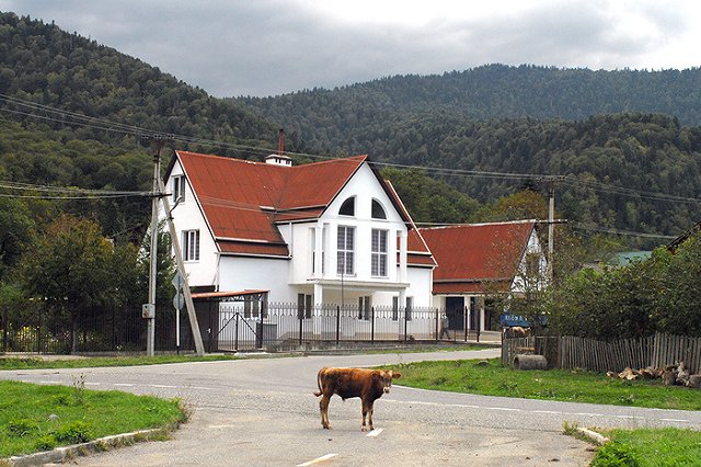 На главу села в Адыгее, где 155 человек заразились коронавирусом на похоронах, завели уголовное дело