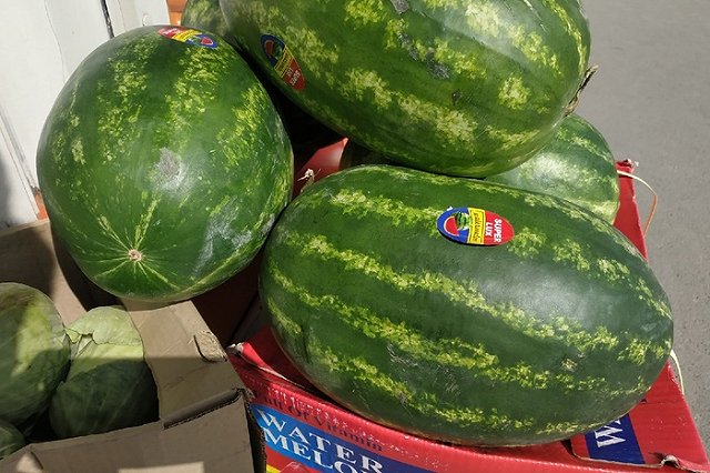 «Спасет десятки тысяч жизней». Терапевт Минздрава призвала снизить цены на овощи и фрукты