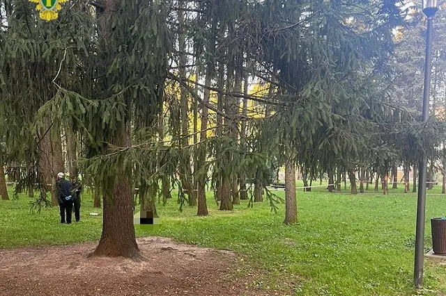 Задержан подозреваемый в обезглавливании двух мужчин в Москве