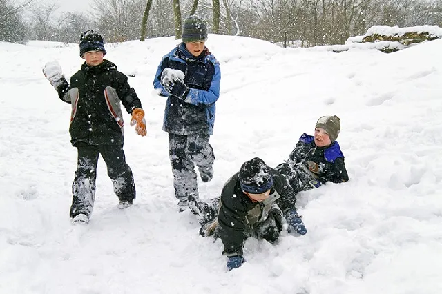 Выстреливший в ребенка из-за брошеного снежка тюменец пошел под суд