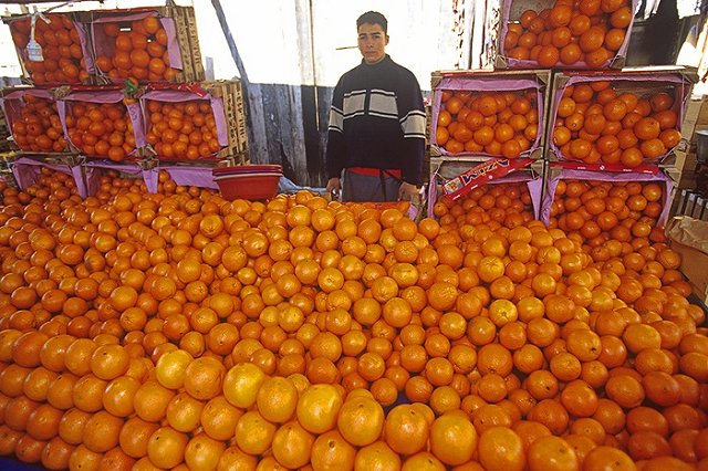 Россельхознадзор отказался сжигать турецкие продукты