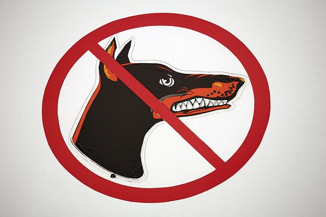 Под Калининградом четырехлетний мальчик погиб от укусов добермана