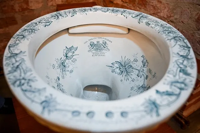 Американка во время уборки застряла в унитазе