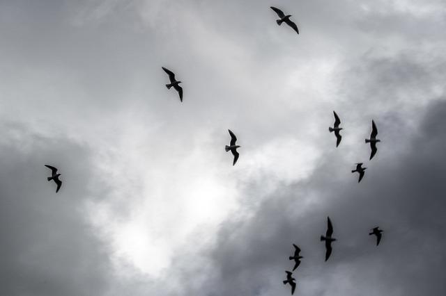 Депрессивных людей вычислили по словам