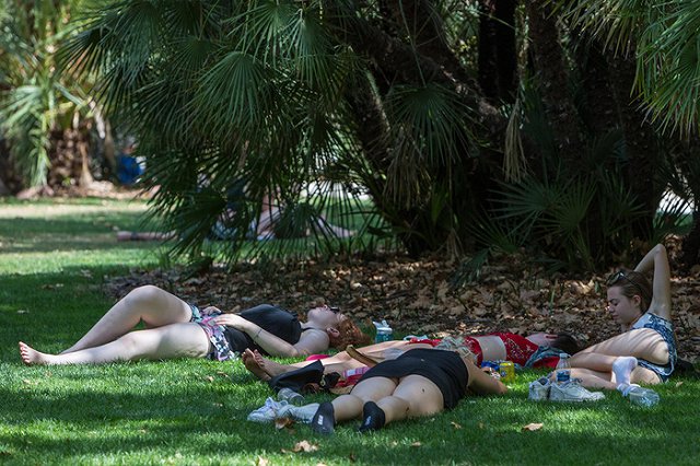 Зной в Европе: опасность для АЭС, ботинки для собак и рекорды продаж мороженого