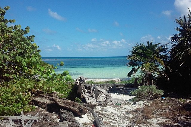 Таксистка из Екатеринбурга стала участницей популярного российского телешоу