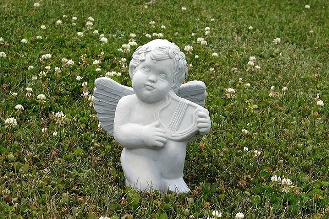 И на кладбище своя жизнь. Похоронщики наблюдают за гнездом с птенцами на закрытом кладбище в Серове