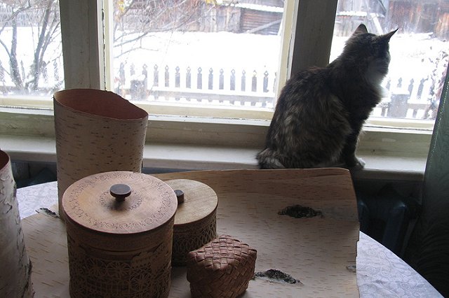 В берестяной грамоте обнаружили новое слово для обозначения мошенников