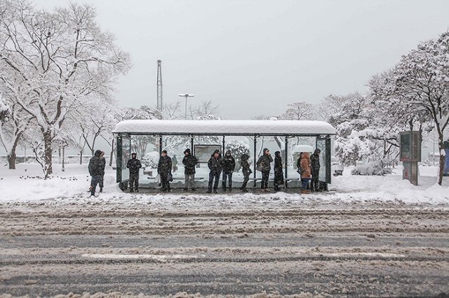 Мэрия назвала первые шесть улиц, на которых появятся выделенные полосы